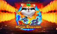 Ninja Raccoon
