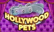 hollywood-pets