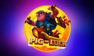 pig-of-luck