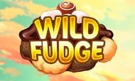 wild-fudge