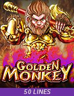 Golden Monkey